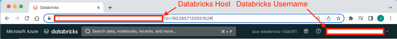Find Databricks host and username